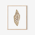 Junonia Art Print 8x10