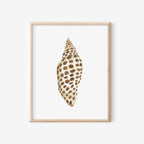 Junonia Art Print 8x10