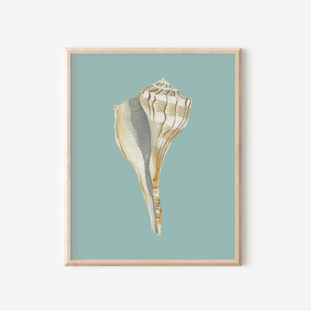 Lightening Whelk Art Print Colorful 5x7
