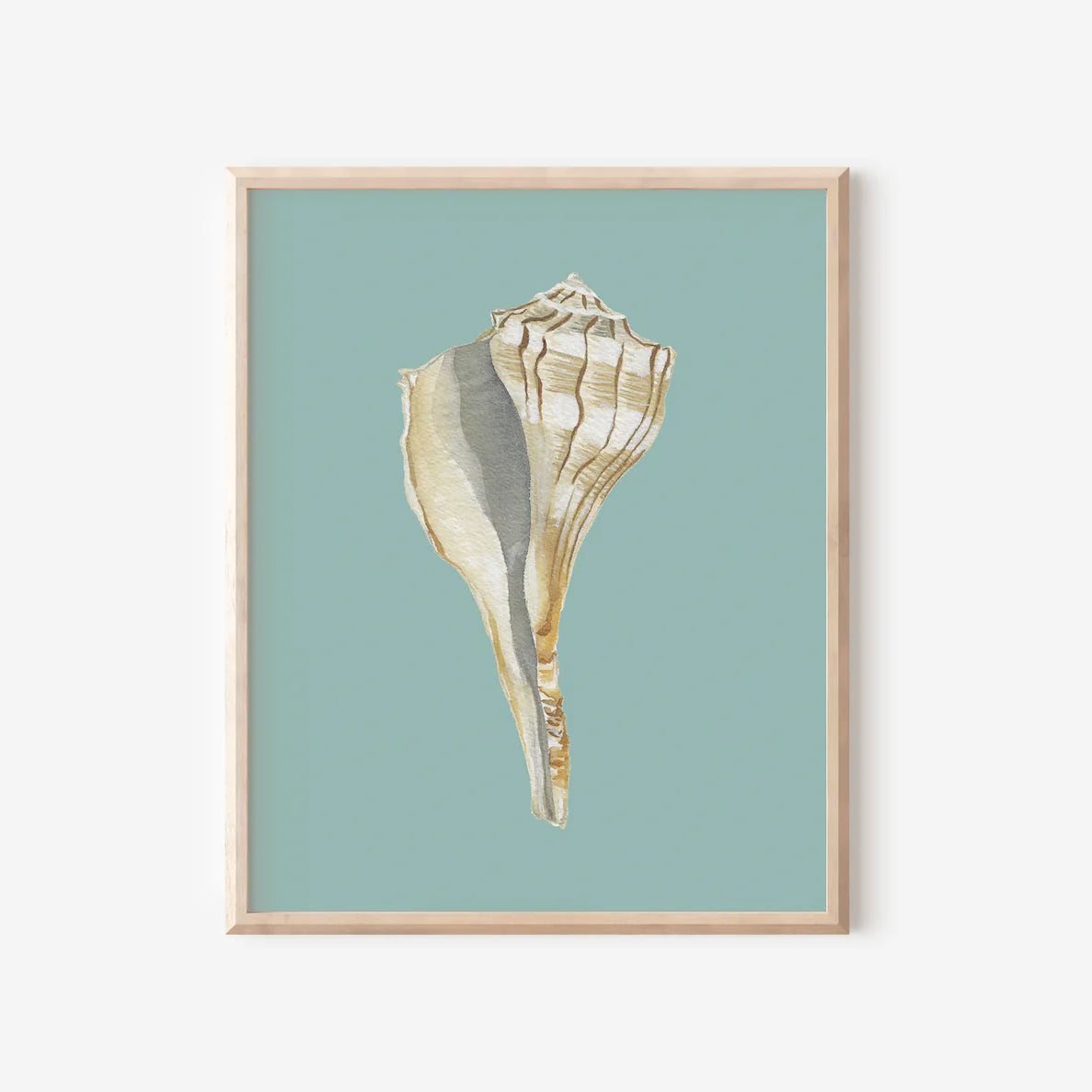 Lightening Whelk Art Print Colorful 5x7