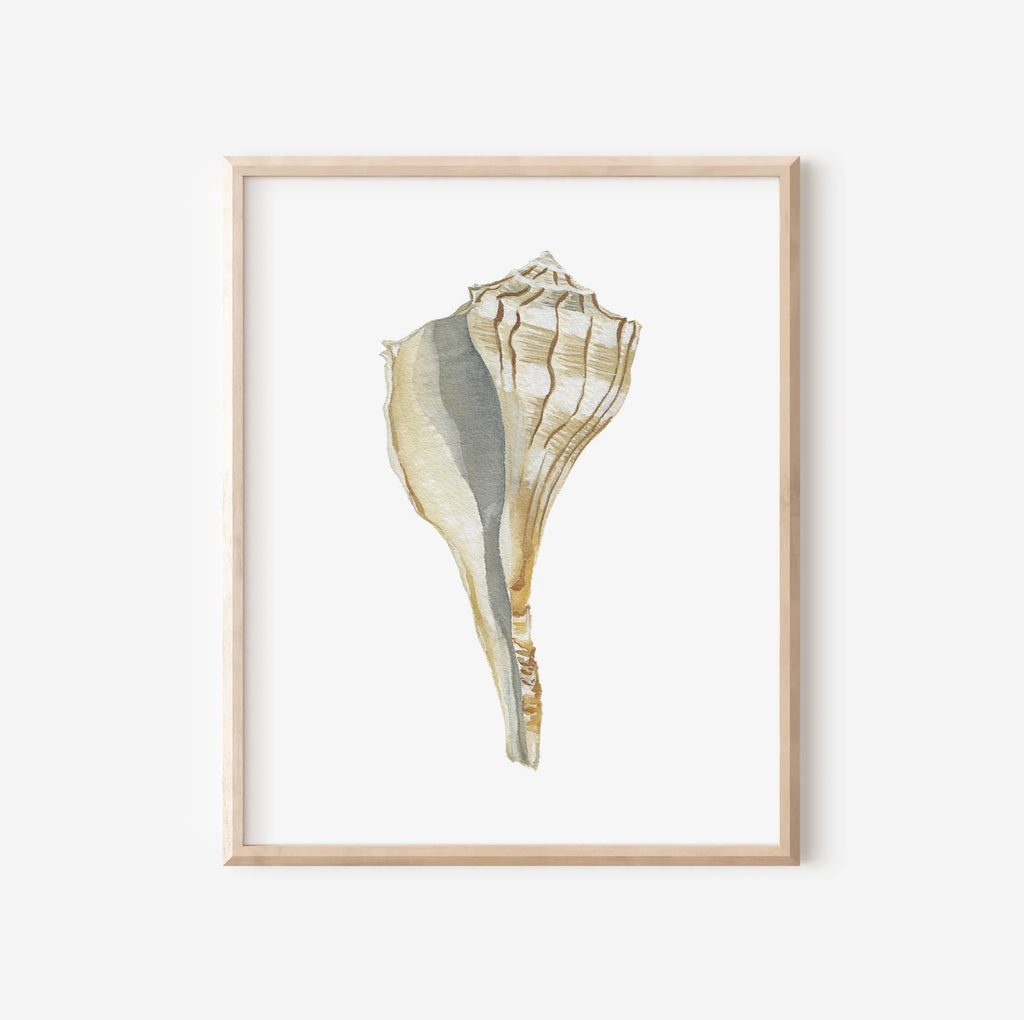 Lightening Shell Art Print 8x10