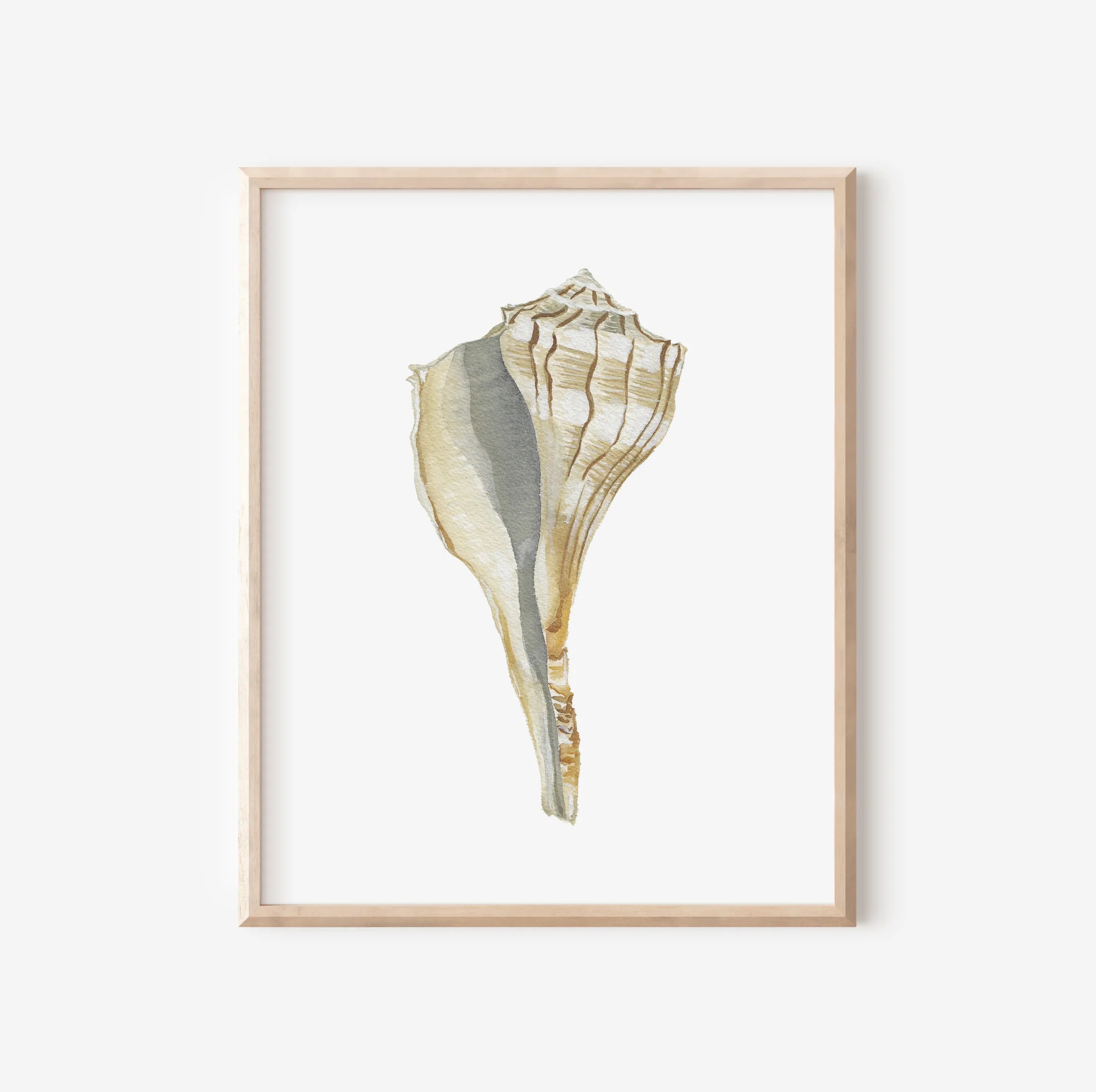 Lightening Shell Art Print 8x10