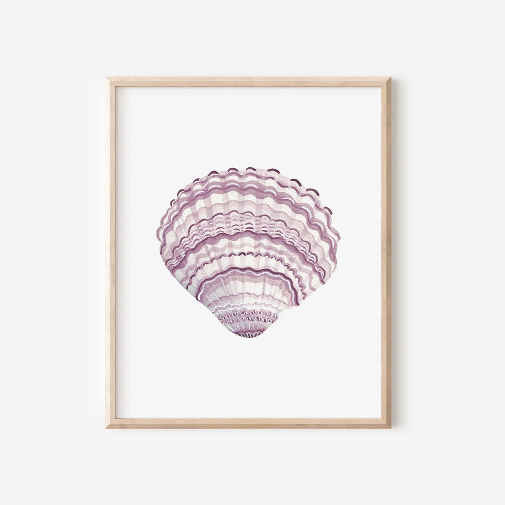 Lilac Cockle Art Print 8x10