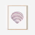 Lilac Cockle Art Print 8x10