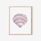 Lilac Cockle Art Print 8x10