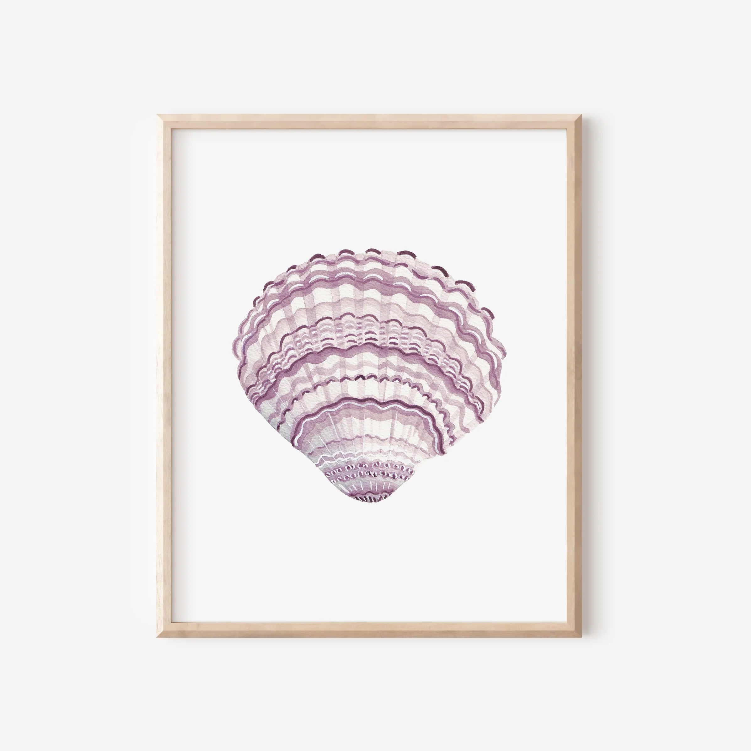 Lilac Cockle Art Print 8x10