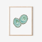 Limpet Shells Art Print 8x10