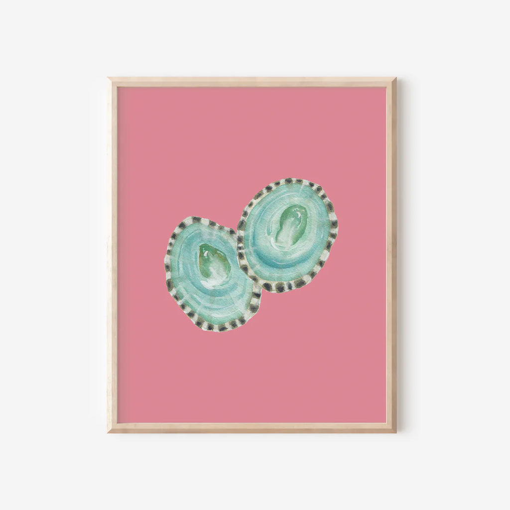 Limpet Shells Art Print Colorful 5x7