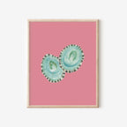 Limpet Shells Art Print Colorful 5x7