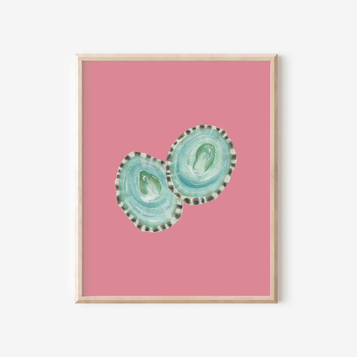 Limpet Shells Art Print Colorful 5x7
