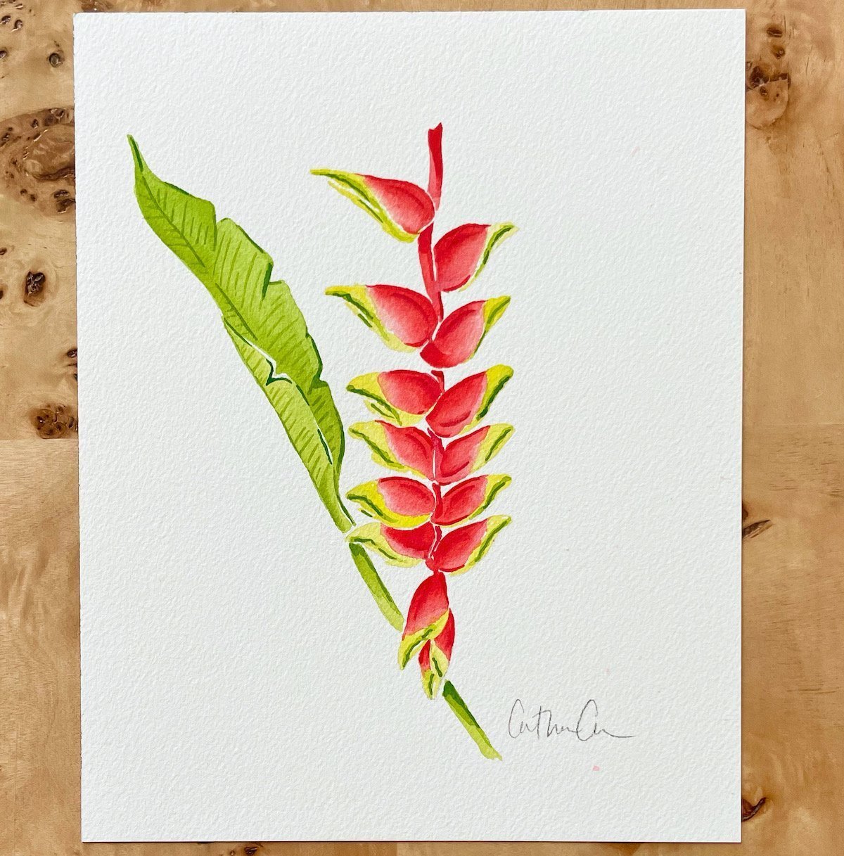 Botanical Original Painting - Lobster Claw Plant