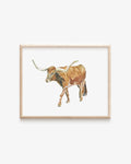Longhorn Art Print 8x10
