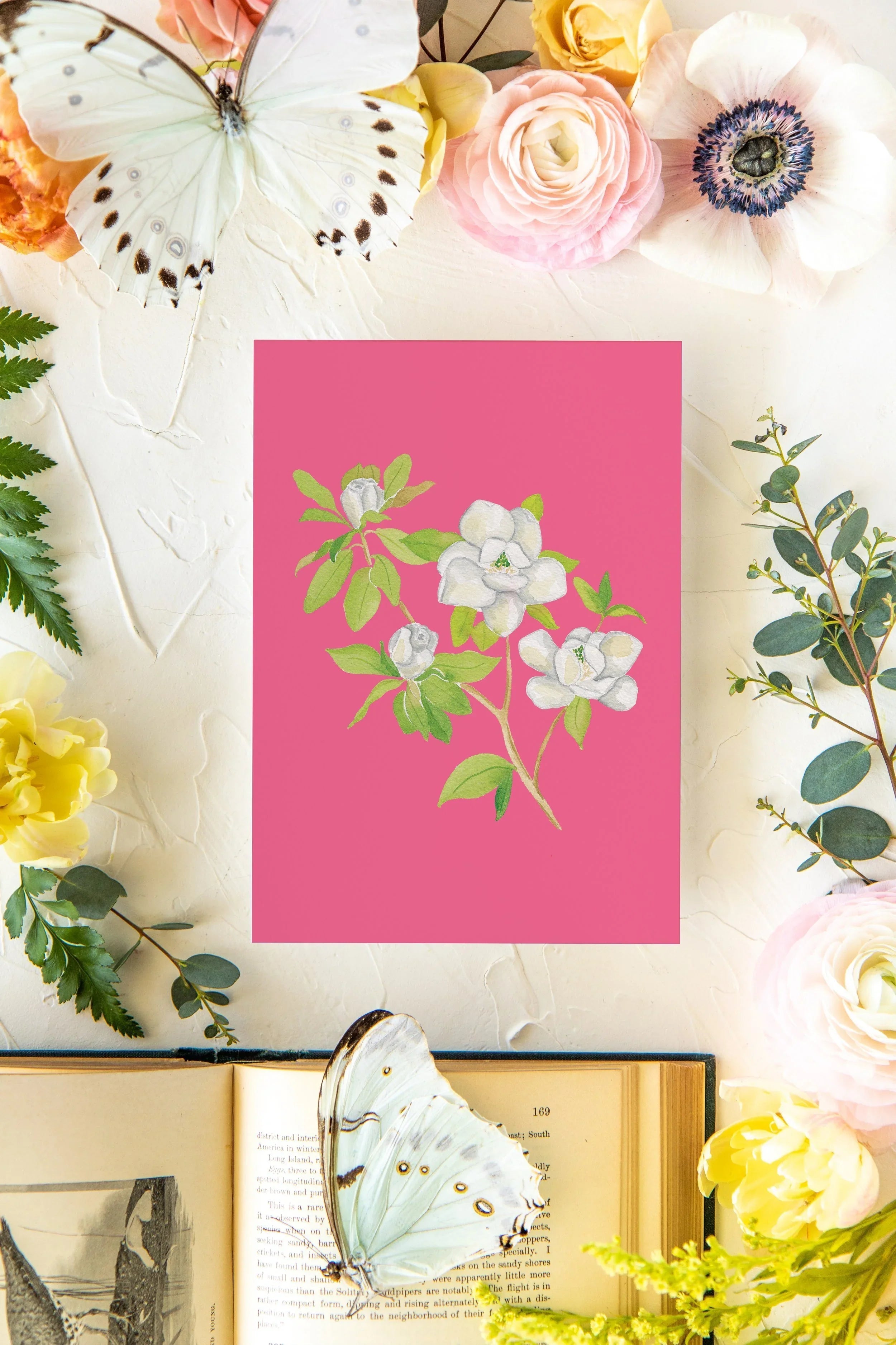 Colorful Botanical 5x7 Print - Magnolia