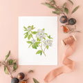 Botanical Art Prints 8x10 - Magnolia