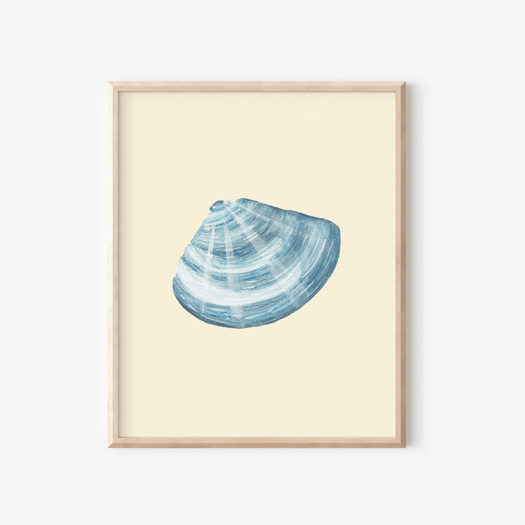 Manila Shell Art Print Colorful 5x7