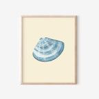 Manila Shell Art Print Colorful 5x7