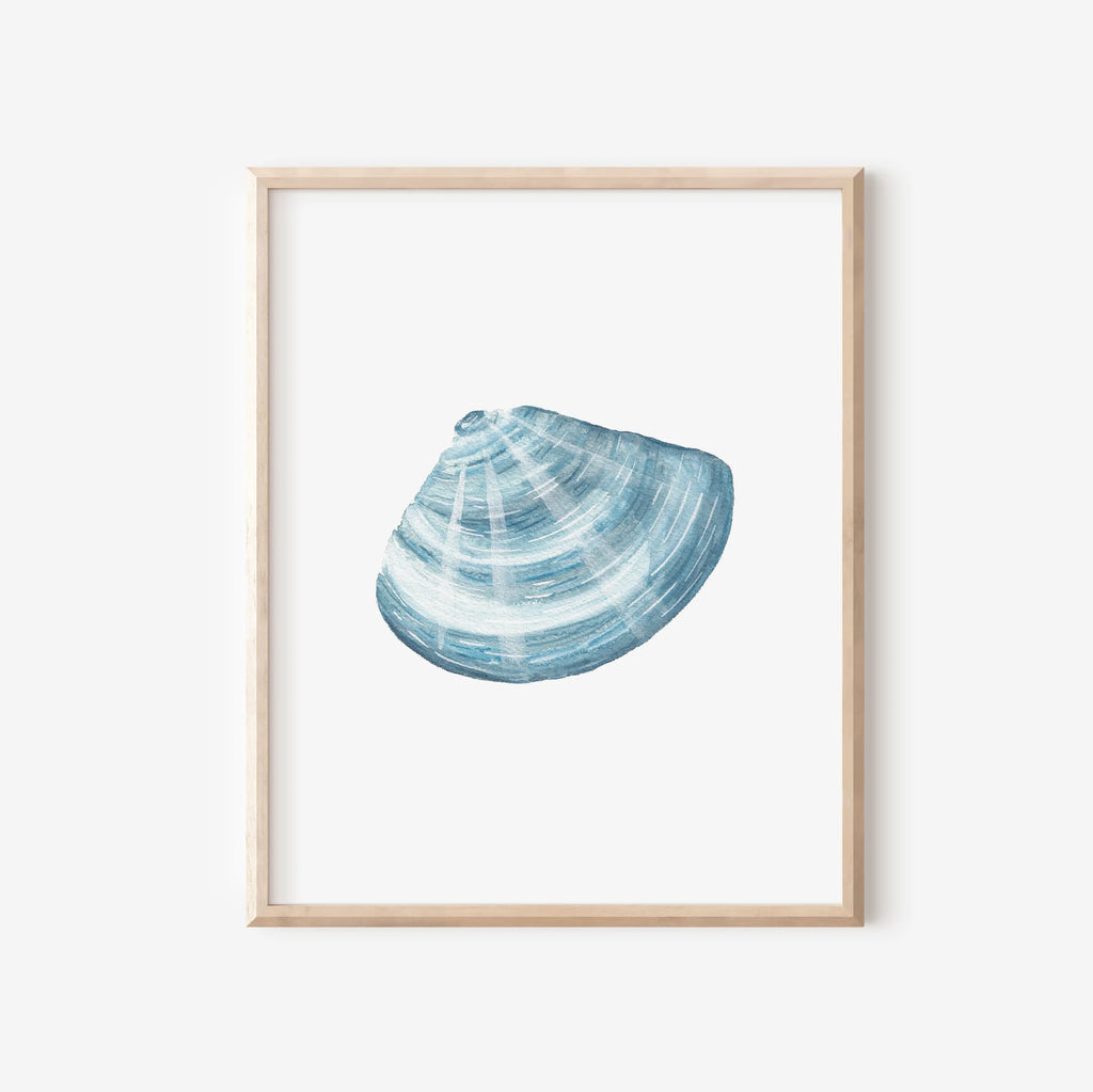 Manila Clam Art Print 8x10