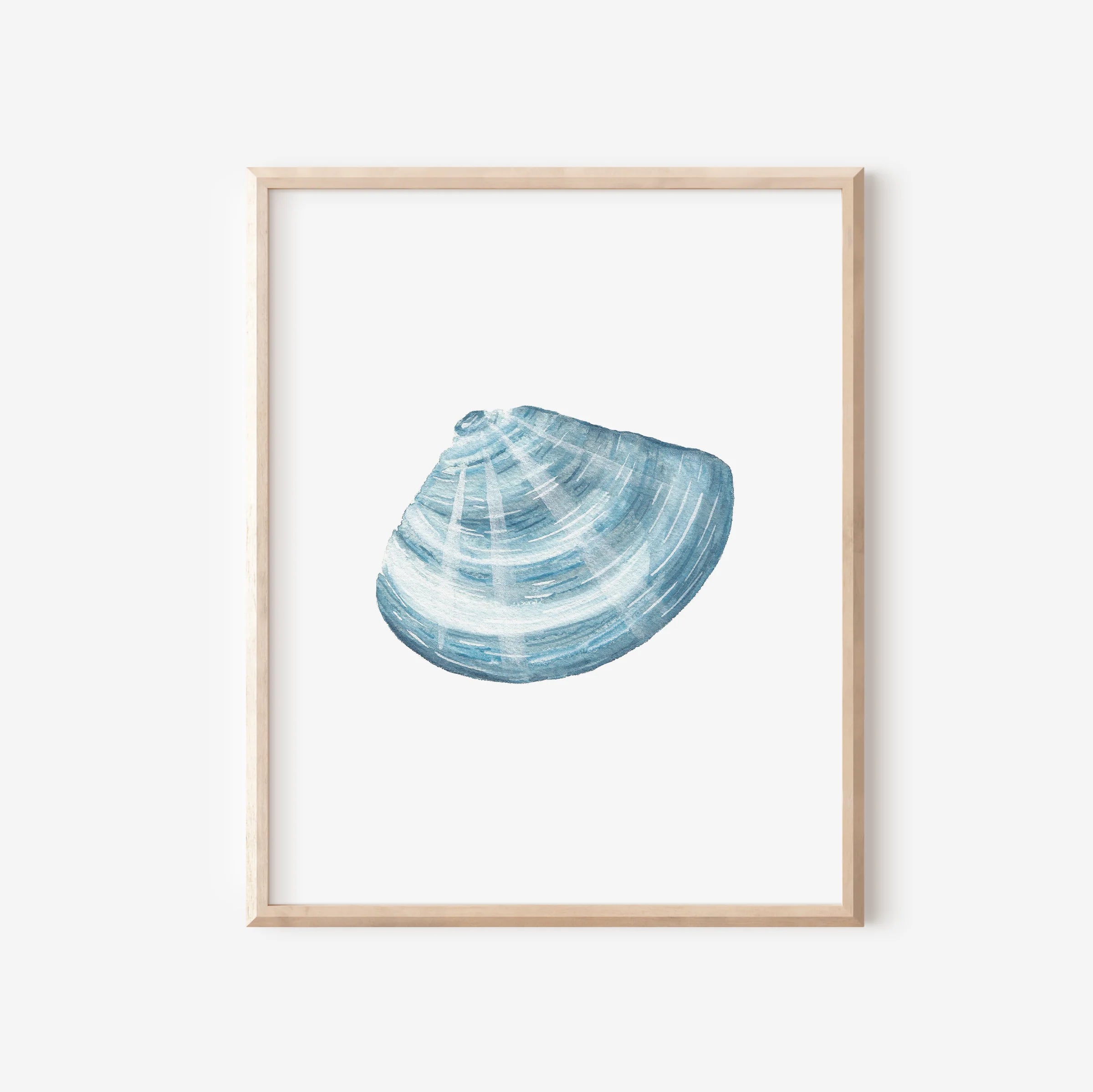 Manila Clam Art Print 8x10