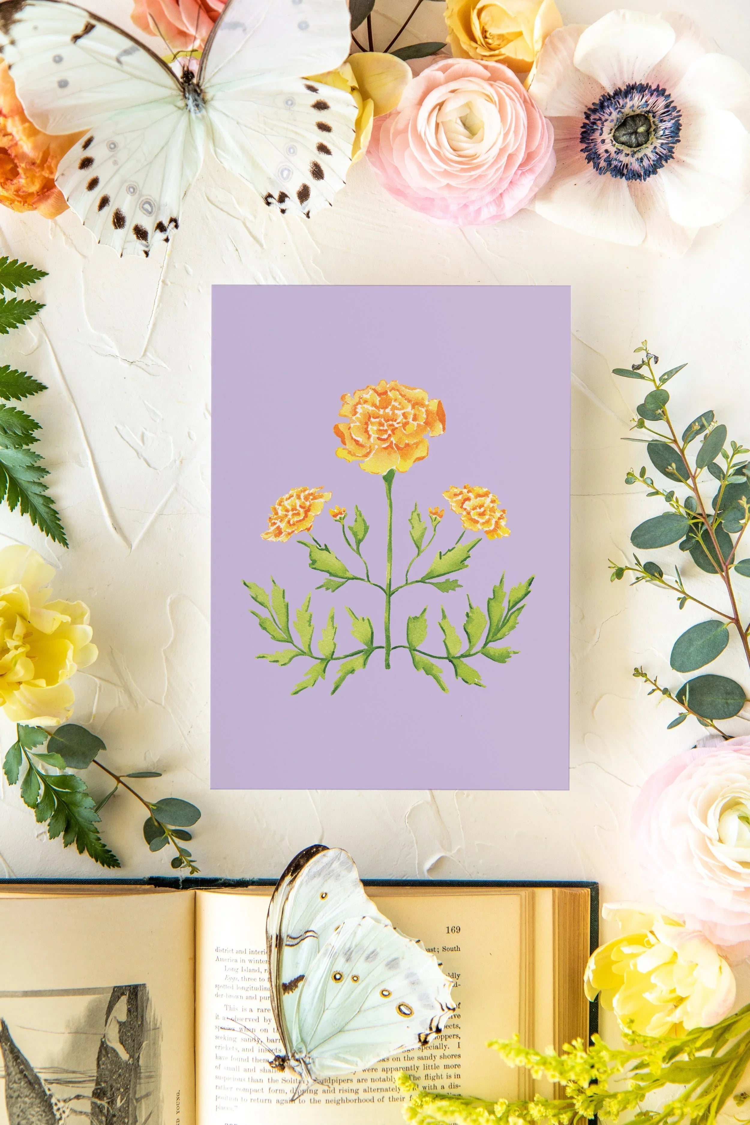 Colorful Botanical 5x7 Print - Marigold