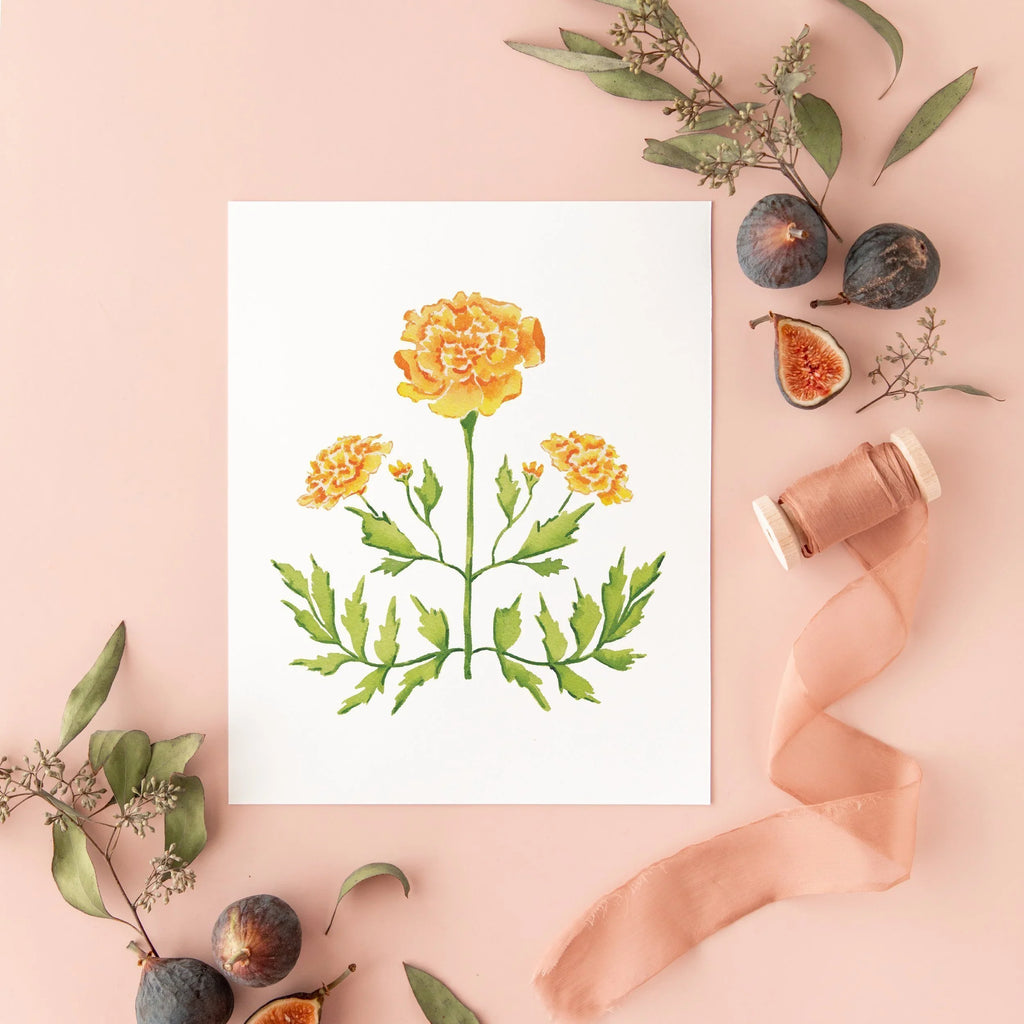 Botanical Art Prints 8x10 - Marigold