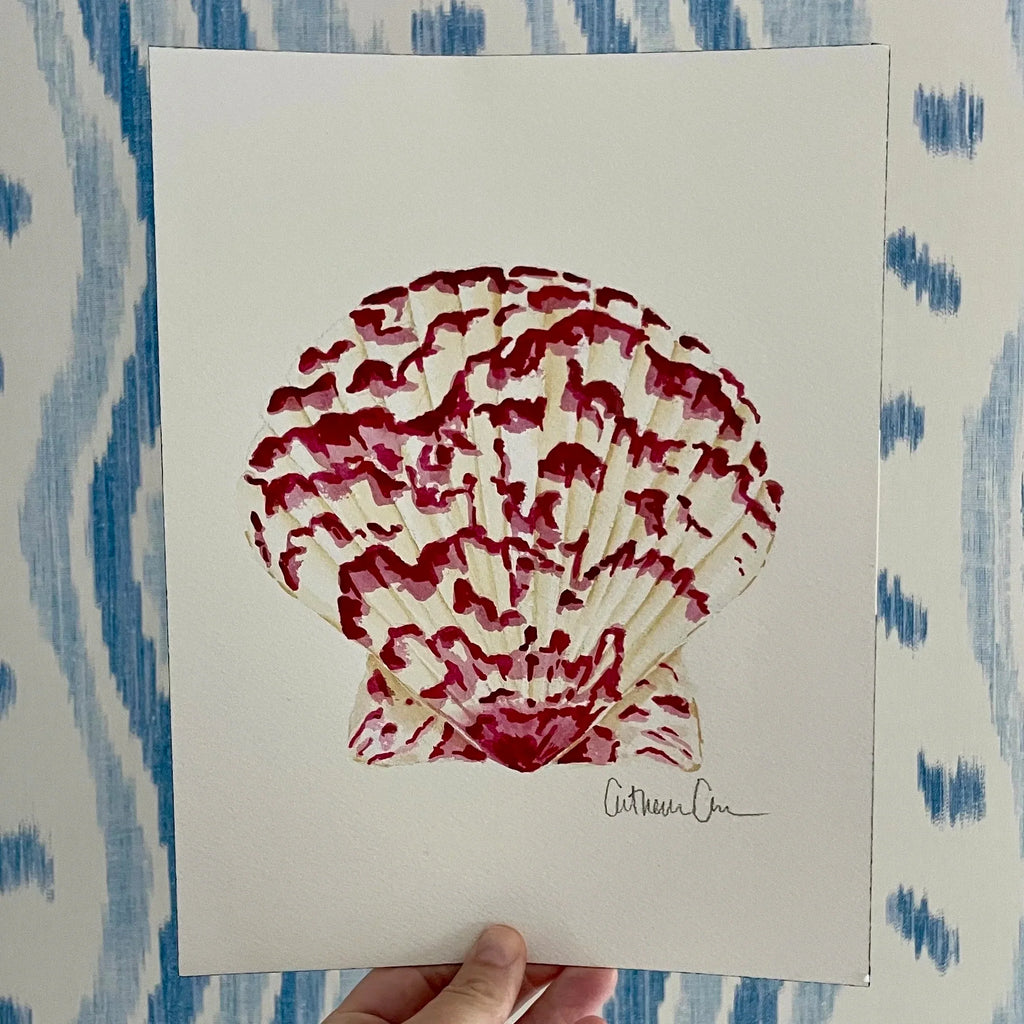Calico Scallop Art Print 8x10