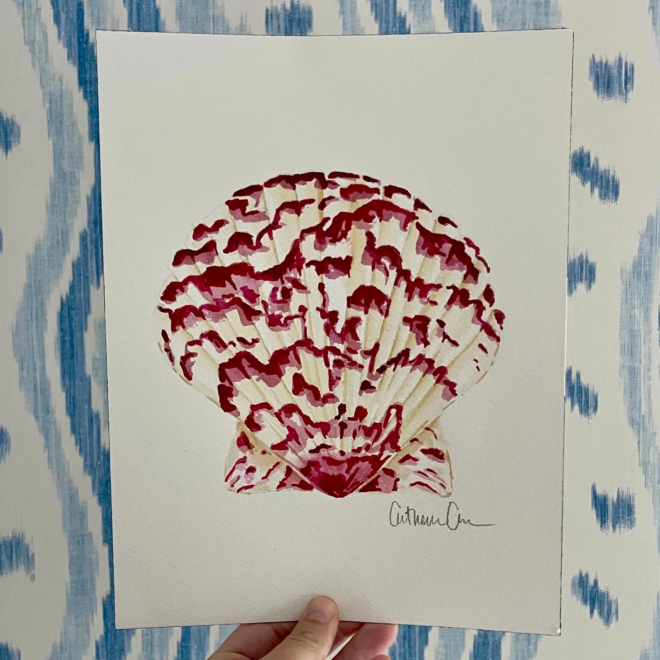Calico Scallop Art Print 8x10