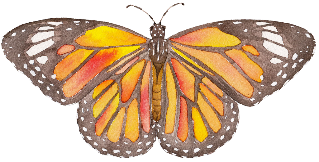 Monarch Butterfly Acrylic Art Block Large