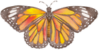 Monarch Butterfly Acrylic Art Block Large