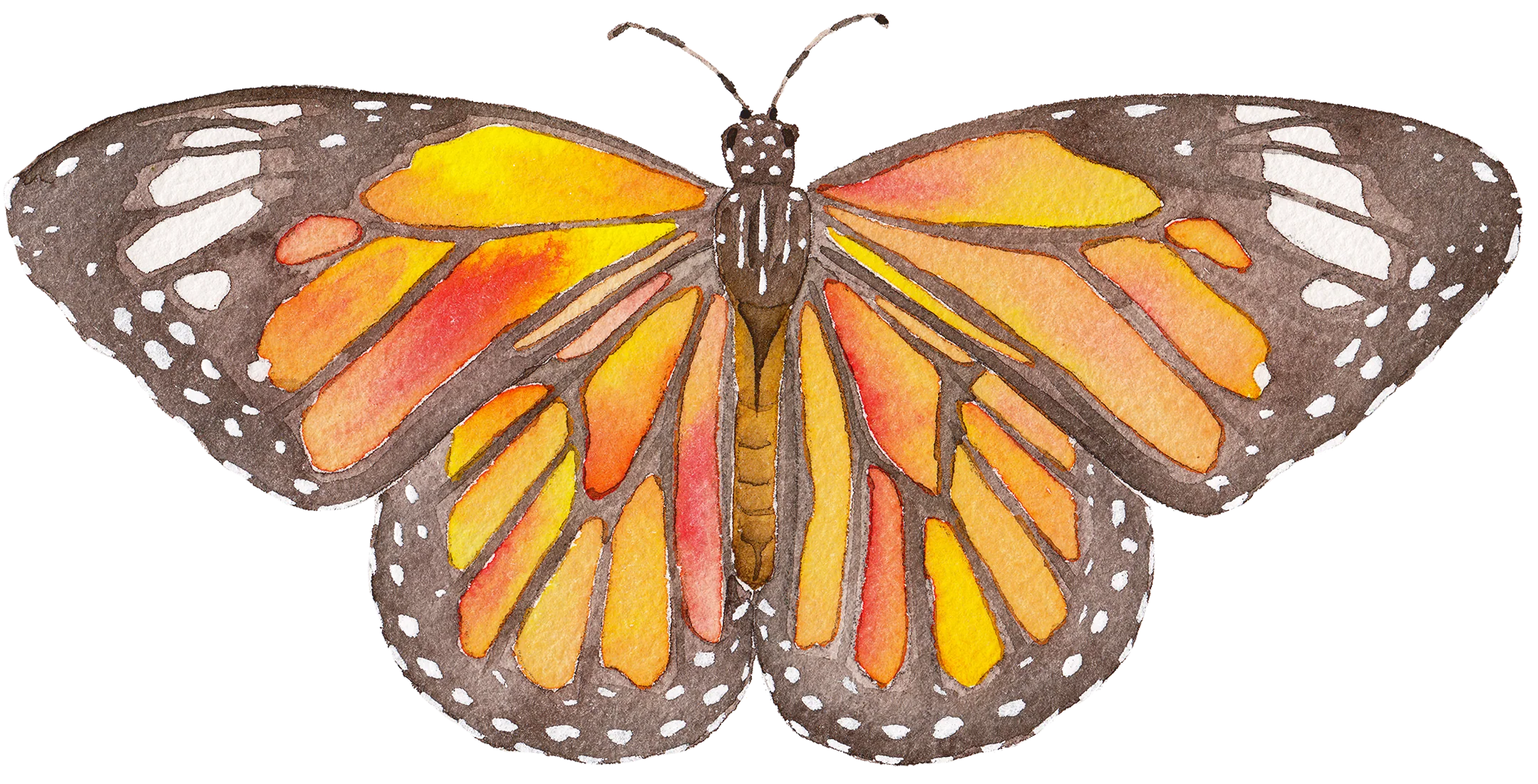 Monarch Butterfly Acrylic Art Block Large