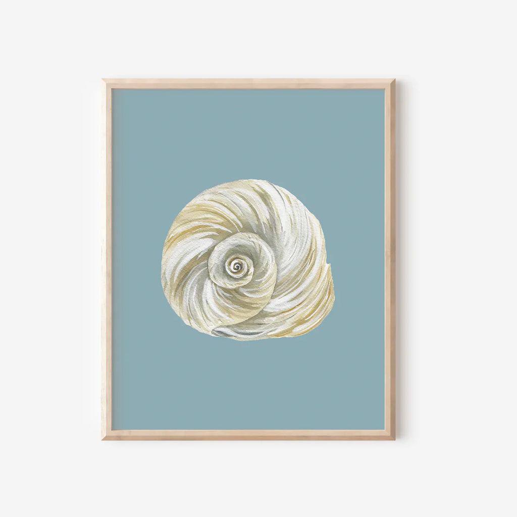 Moon Shell Art Print Colorful 5x7