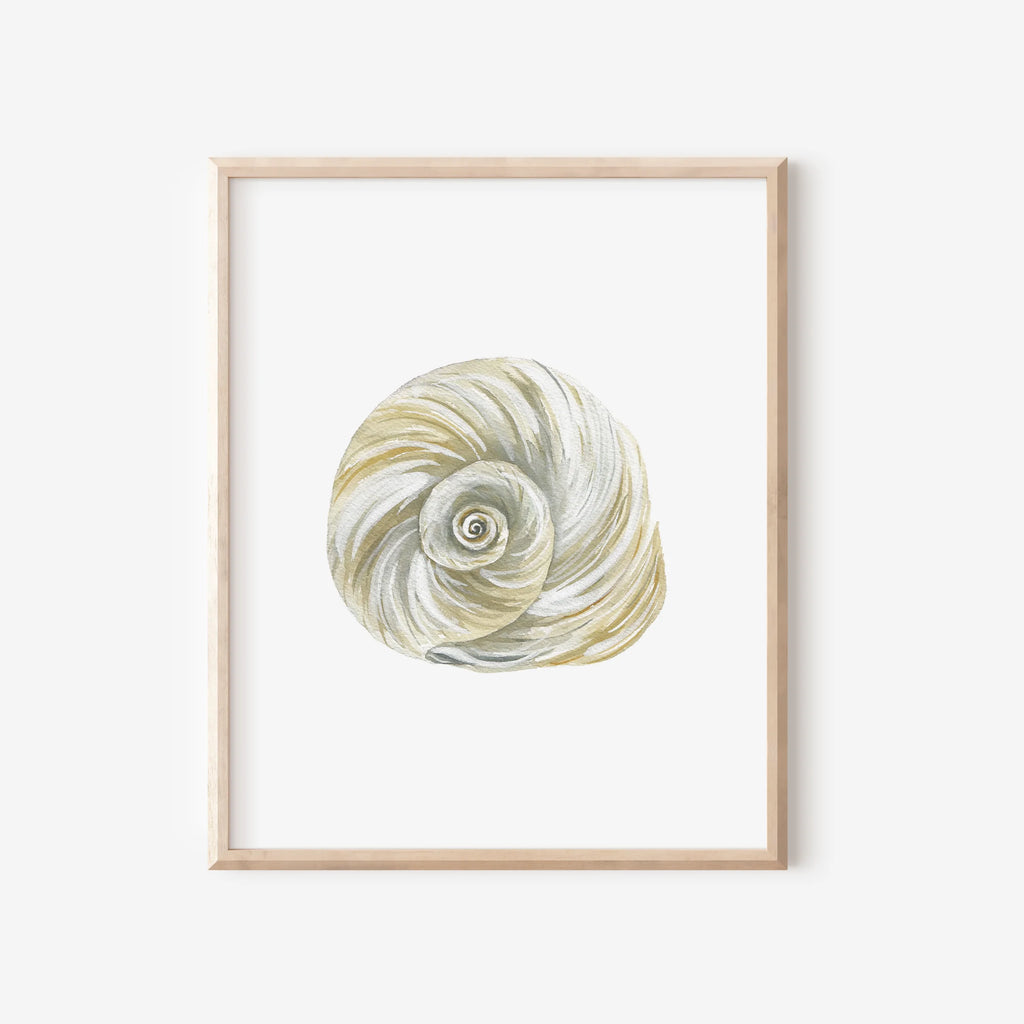 Moon Shell Art Print 8x10