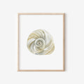 Moon Shell Art Print 8x10