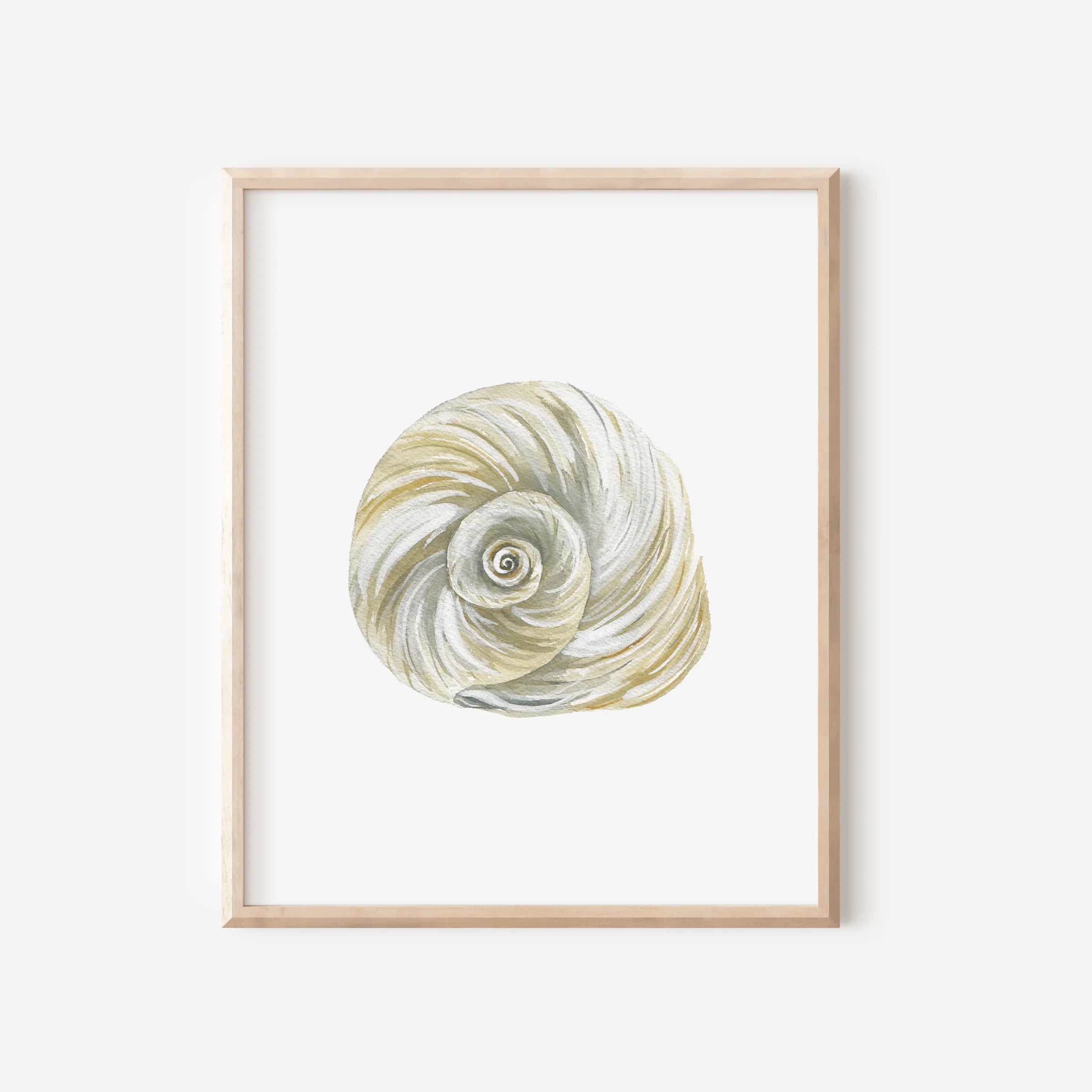 Moon Shell Art Print 8x10