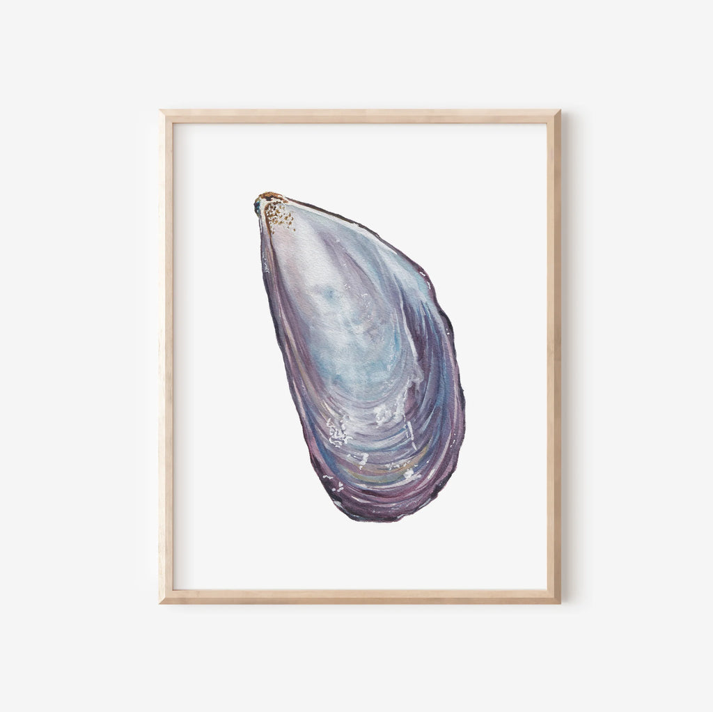 Mussel Art Print 8x10