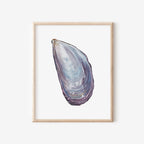 Mussel Art Print 8x10