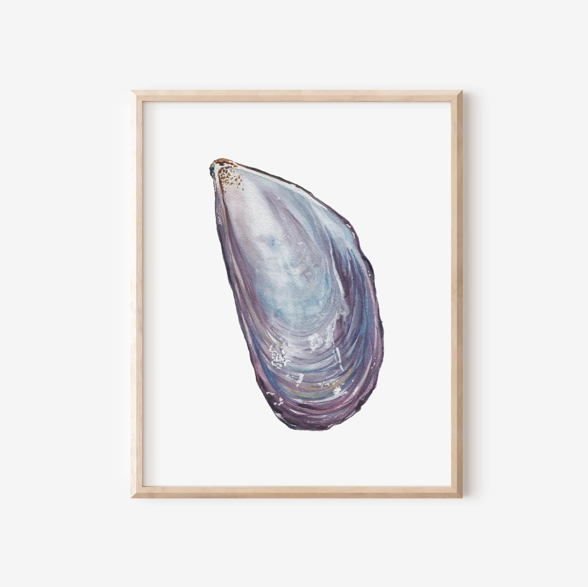 Mussel Art Print 8x10