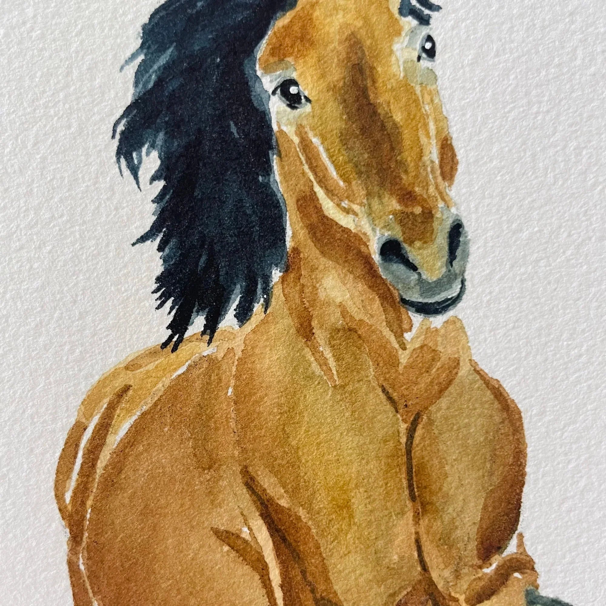 Wild Mustang Colorful Art Print 5x7