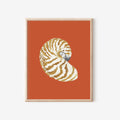 Nautilus Art Print Colorful 5x7