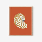 Nautilus Art Print Colorful 5x7