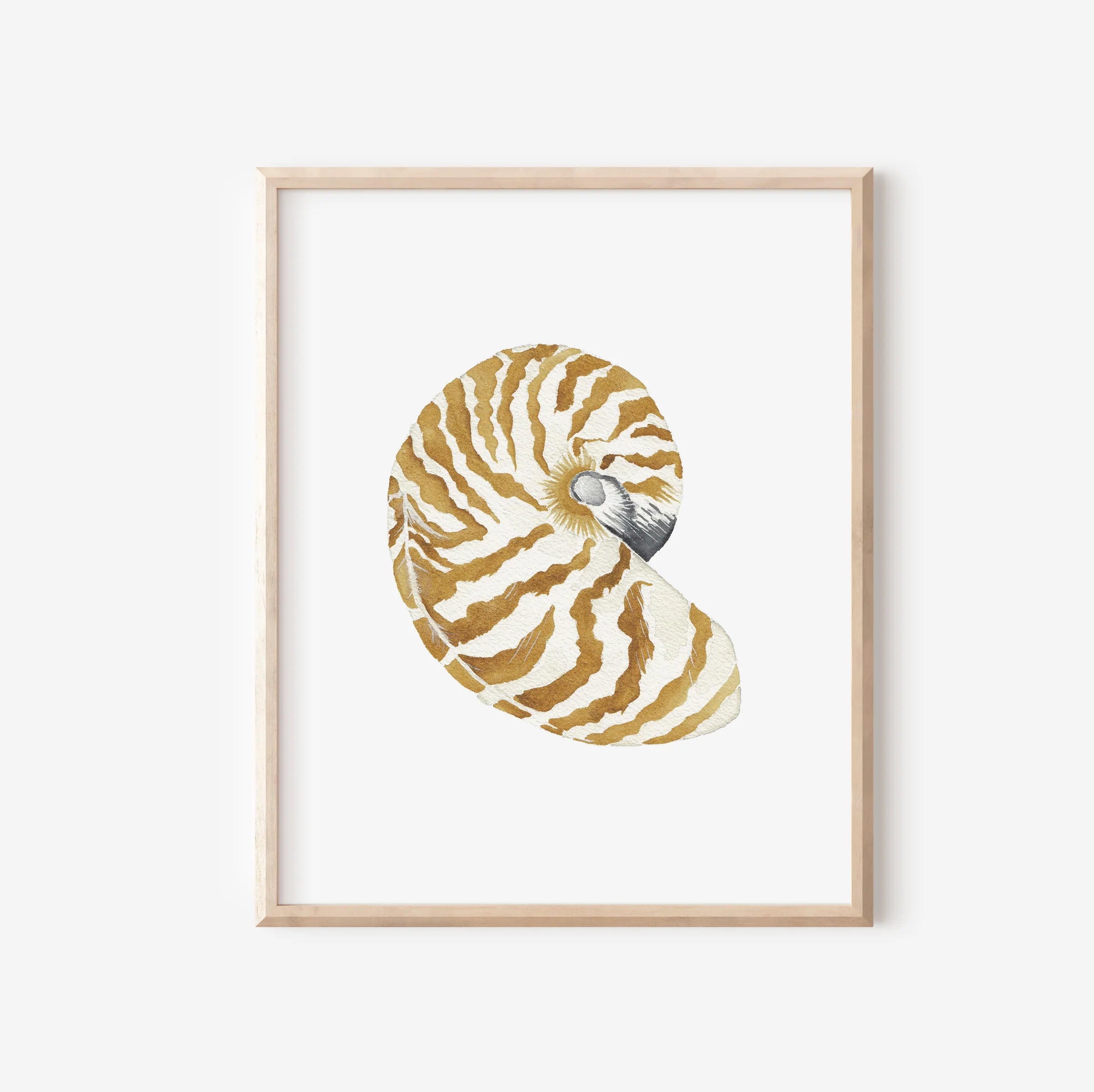 Nautilus Art Print 8x10