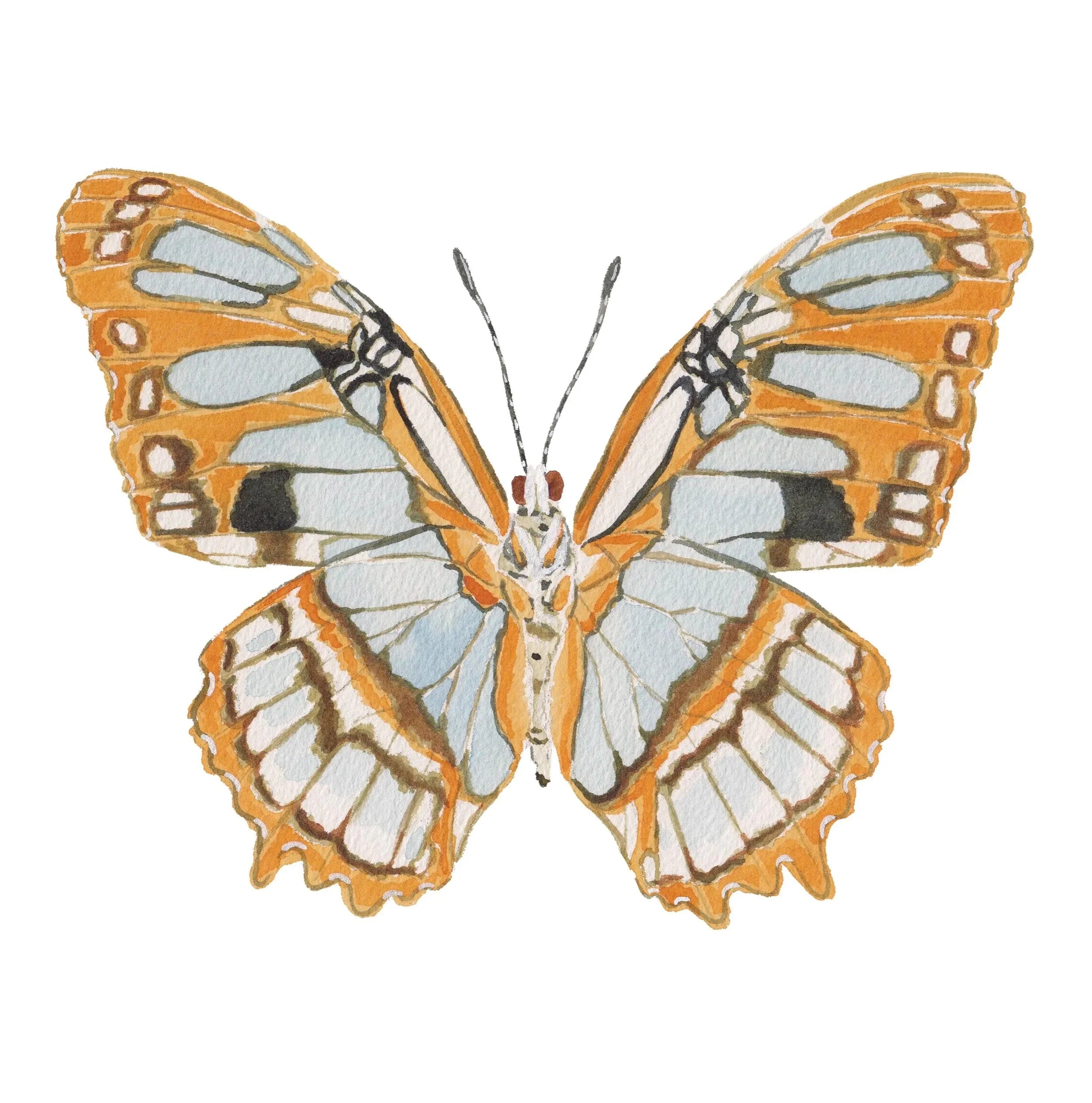 Orange Butterfly Acrylic Art Block Small