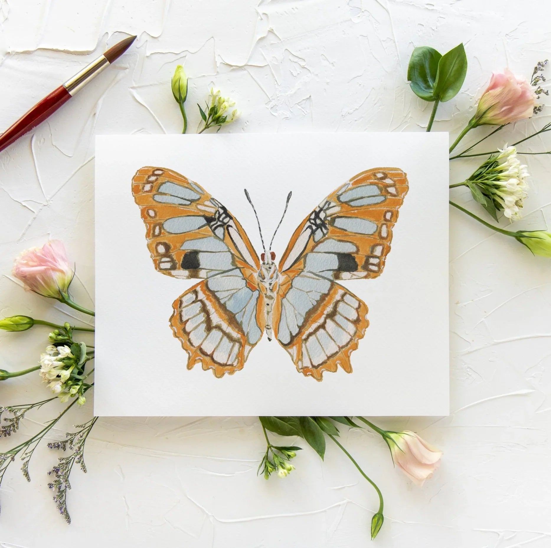 Butterfly No. 42 Print 8x10