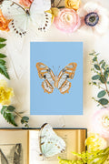 August 3 Butterfly Print 5x7