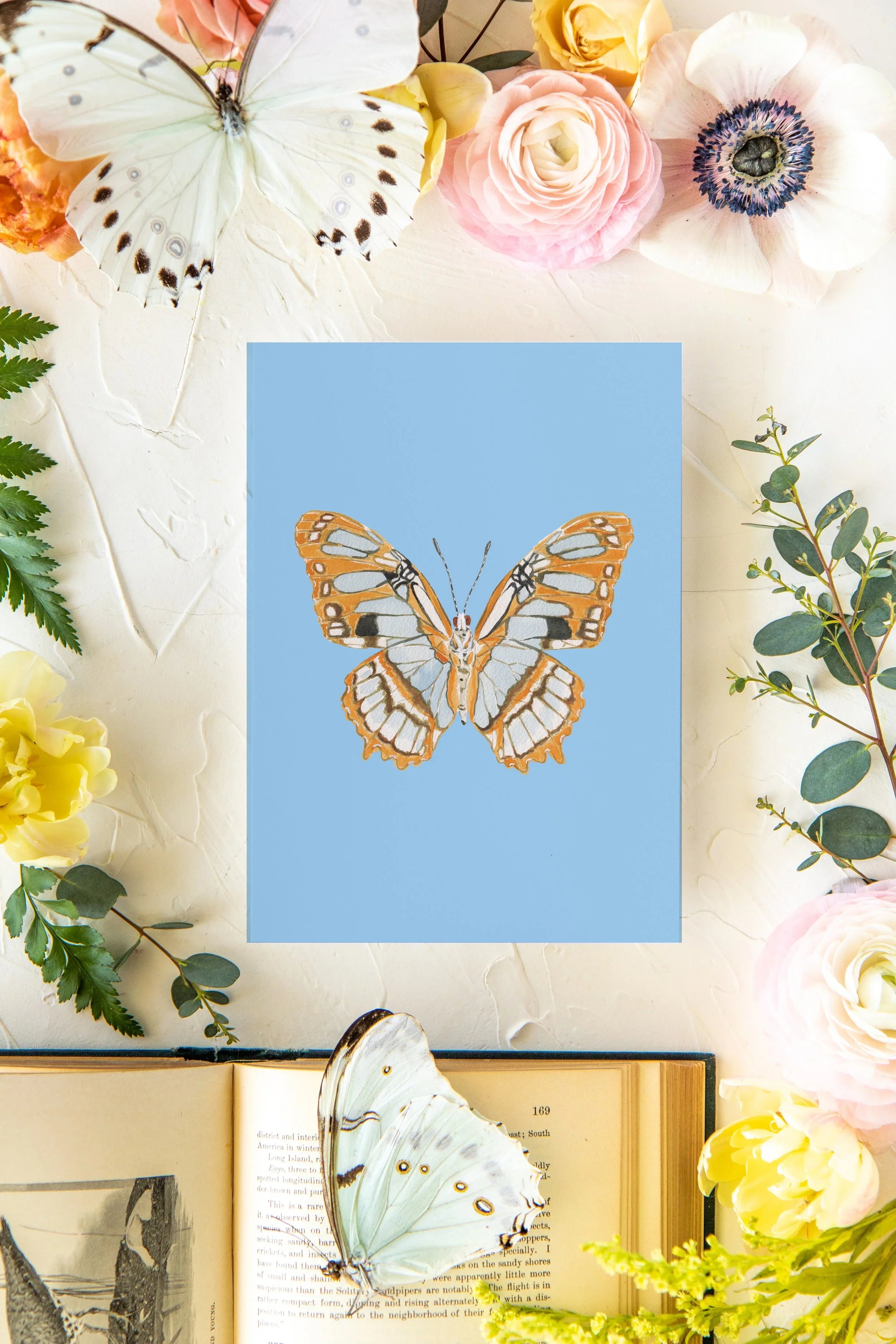 August 3 Butterfly Print 5x7