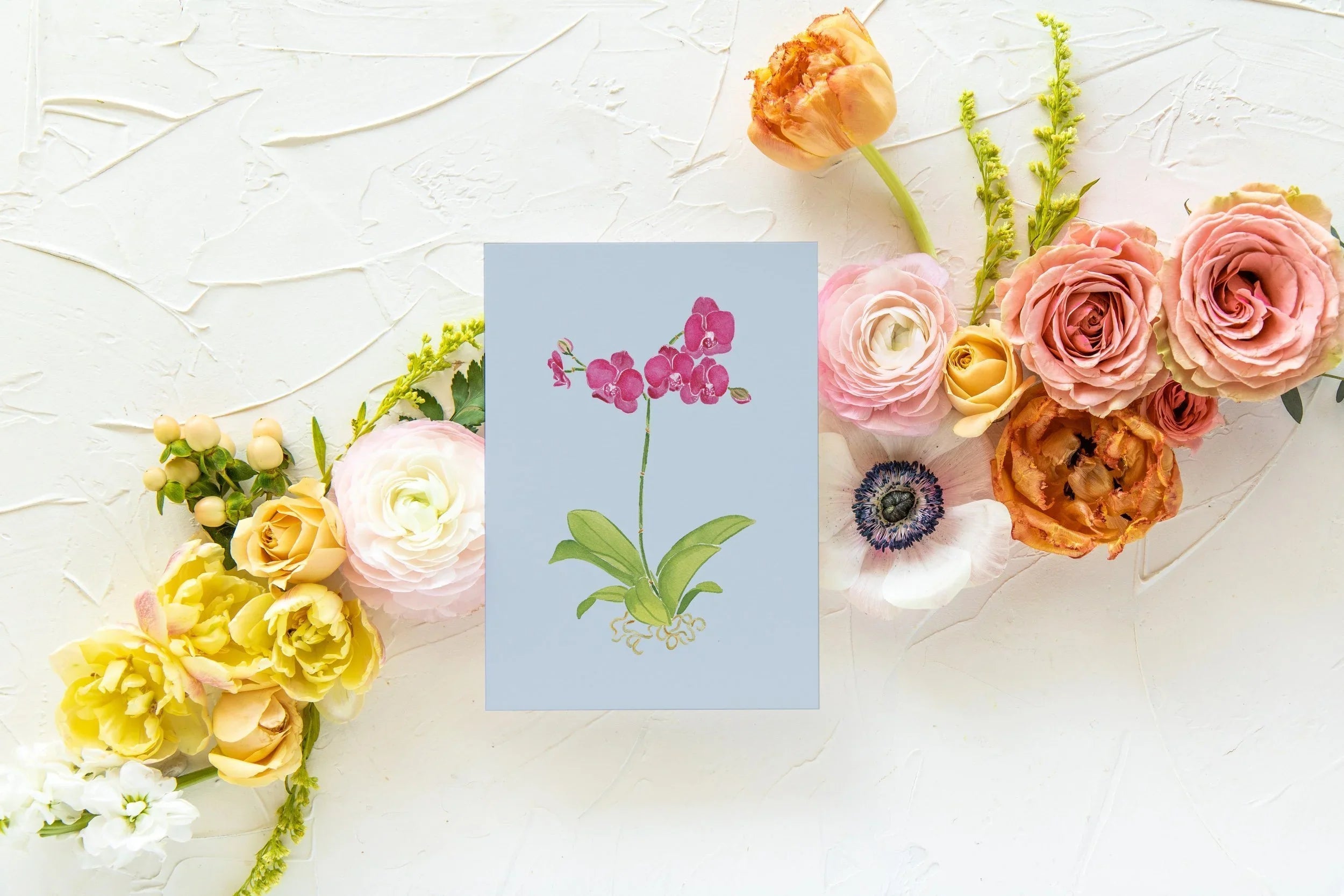 Blue Botanical 5x7 Prints - Orchid
