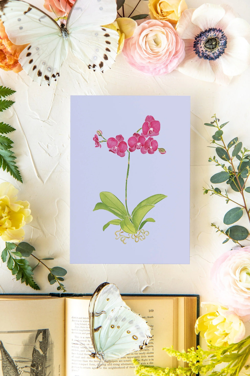 Colorful Botanical 5x7 Print - Orchid