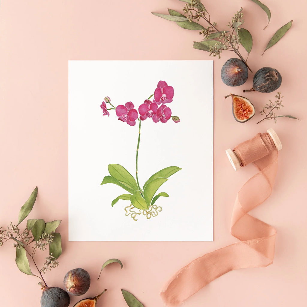 Botanical Art Prints 8x10 - Orchid