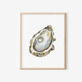 Oyster Art Print 8x10