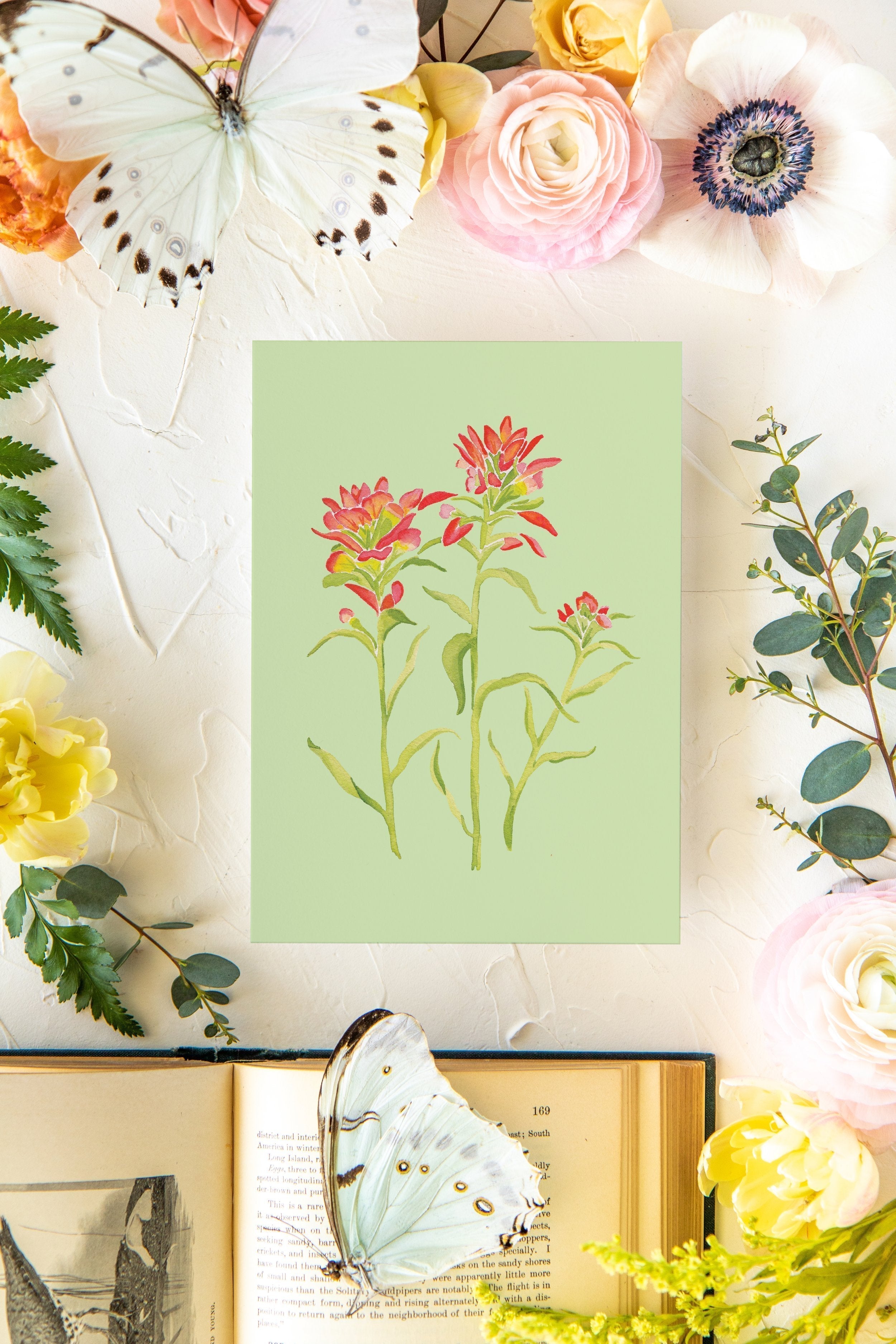 Colorful Botanical 5x7 Print - Paintbrush