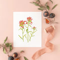 Botanical Art Prints 8x10 - Paintbrush